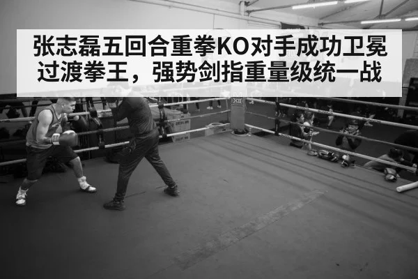 boxer training gym